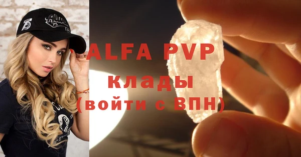 ПСИЛОЦИБИНОВЫЕ ГРИБЫ Гвардейск