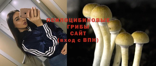 дживик Елизово