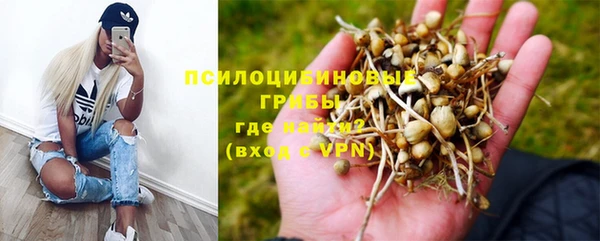 дживик Елизово