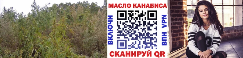 Дистиллят ТГК THC oil  купить наркоту  Жиздра 